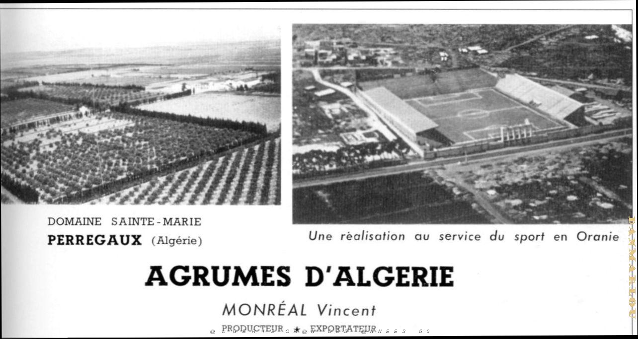 Oran Pub Alimentaire 100.jpg
